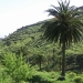 La Gomera, 3.05